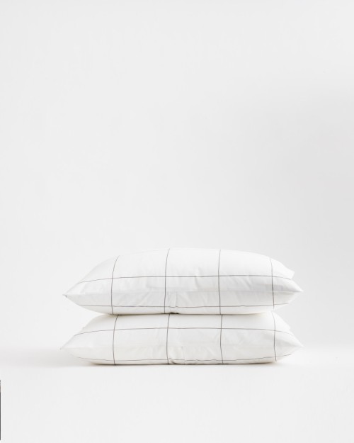 Classic Organic Percale Sham Set - Windowpane